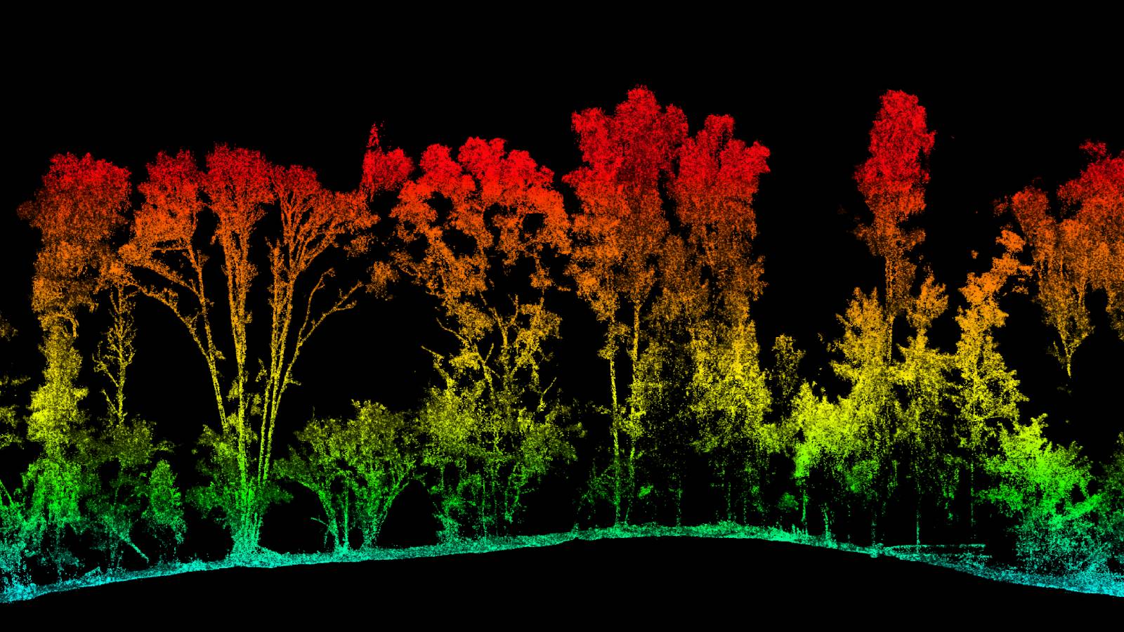 LiDAR point cloud showing multiple returns through forest canopy with ground points visible beneath vegetation