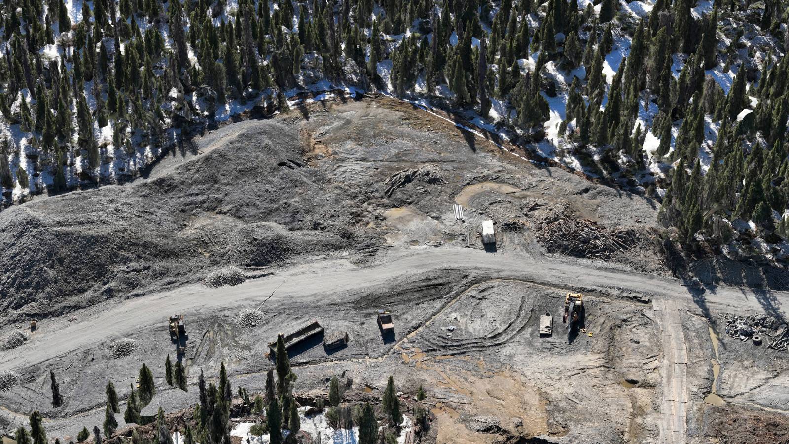 Photogrammetric 3D mesh model generated from UAV imagery showing detailed surface texture but no canopy penetration