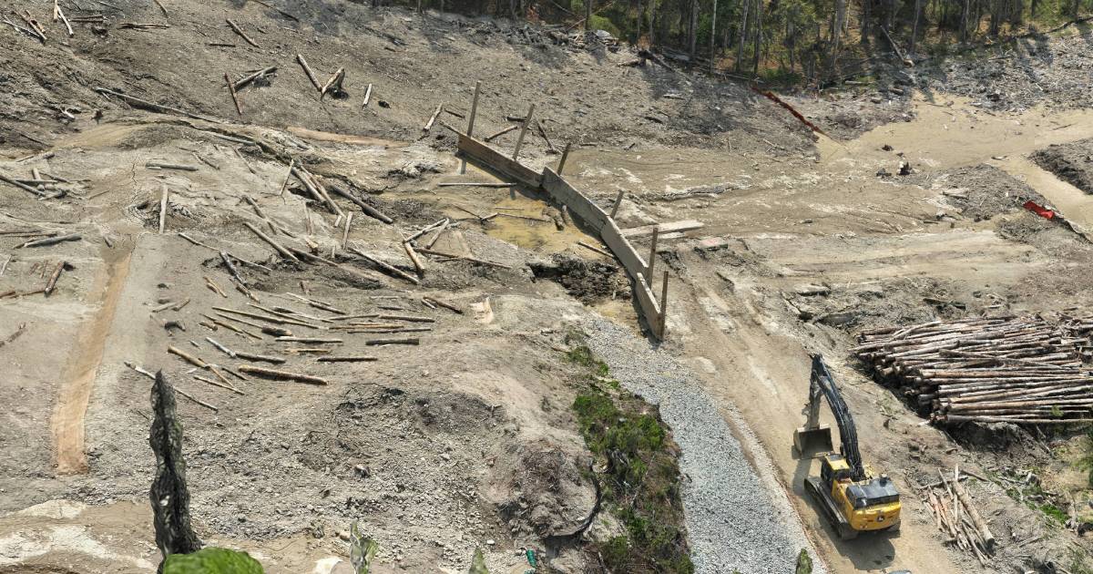 Close-up of a high-resolution photo-textured 3D mesh showing fine surface detail on Alberta infrastructure